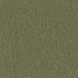 Amici Fern - What A Room