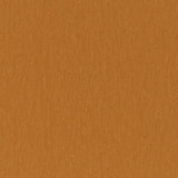 Amici Amber - What A Room