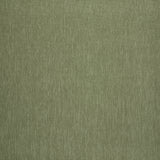 Amici Fern - What A Room