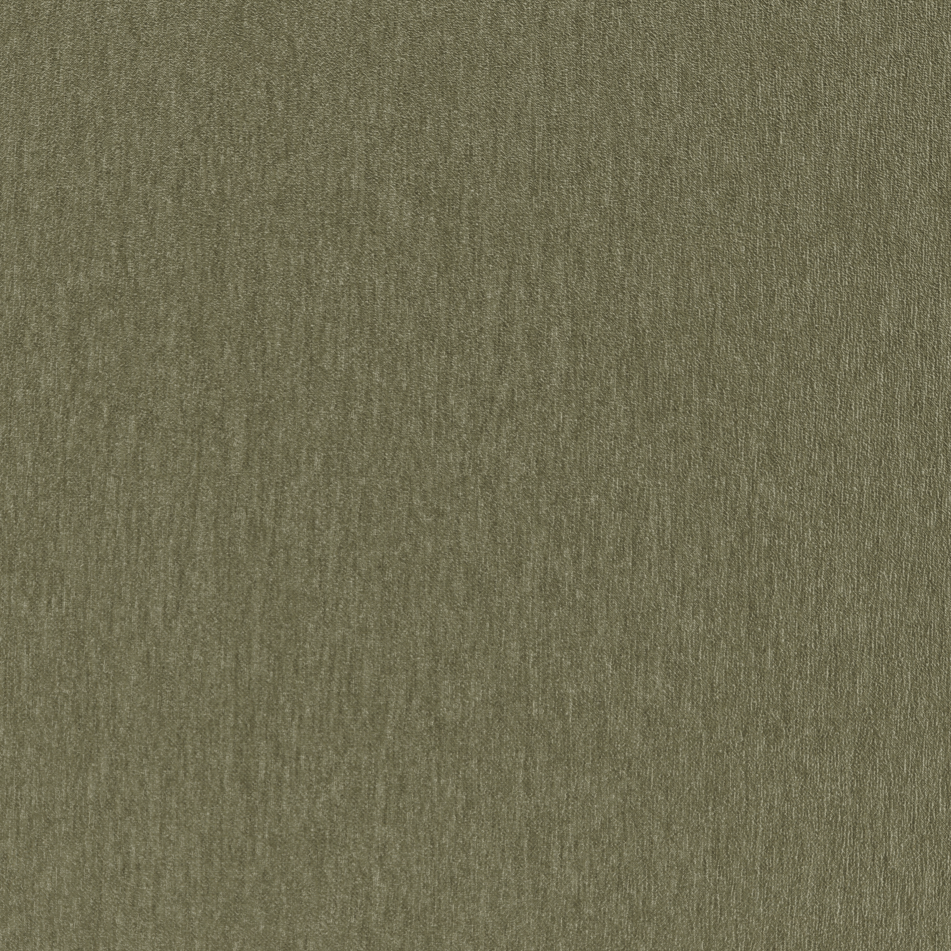 Amici Fern - What A Room