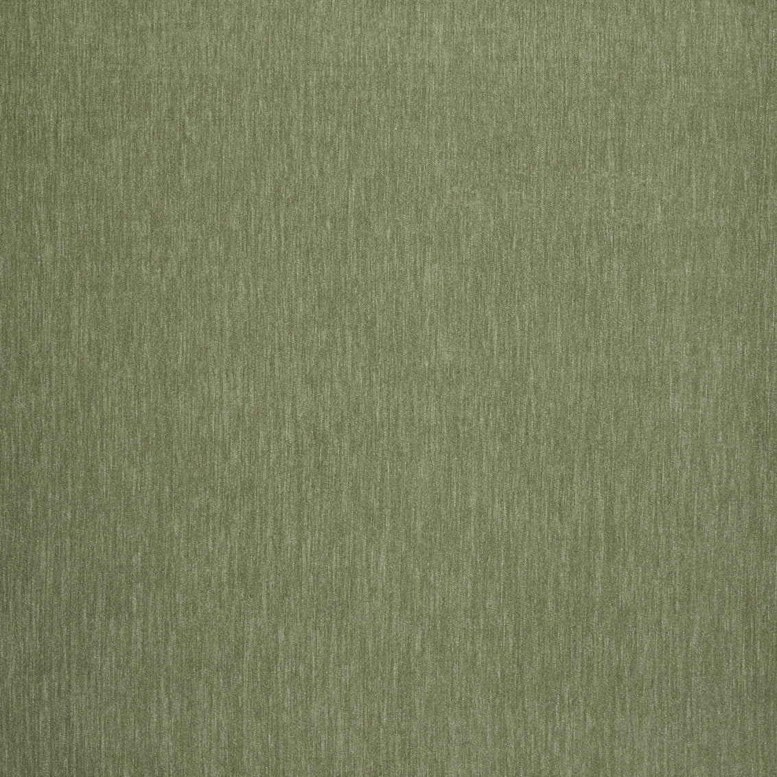 Amici Fern - What A Room