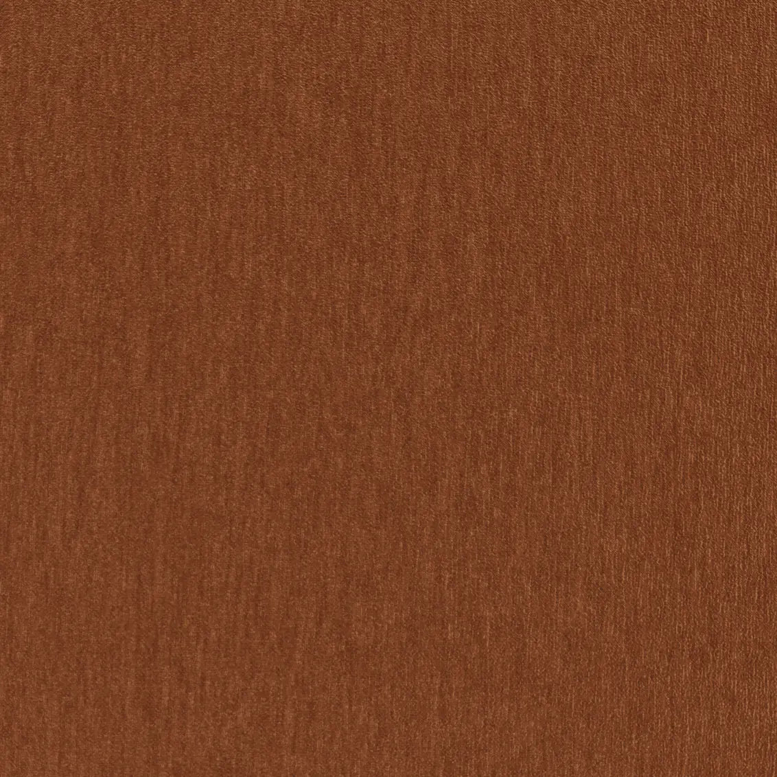 Amici Ginger - What A Room