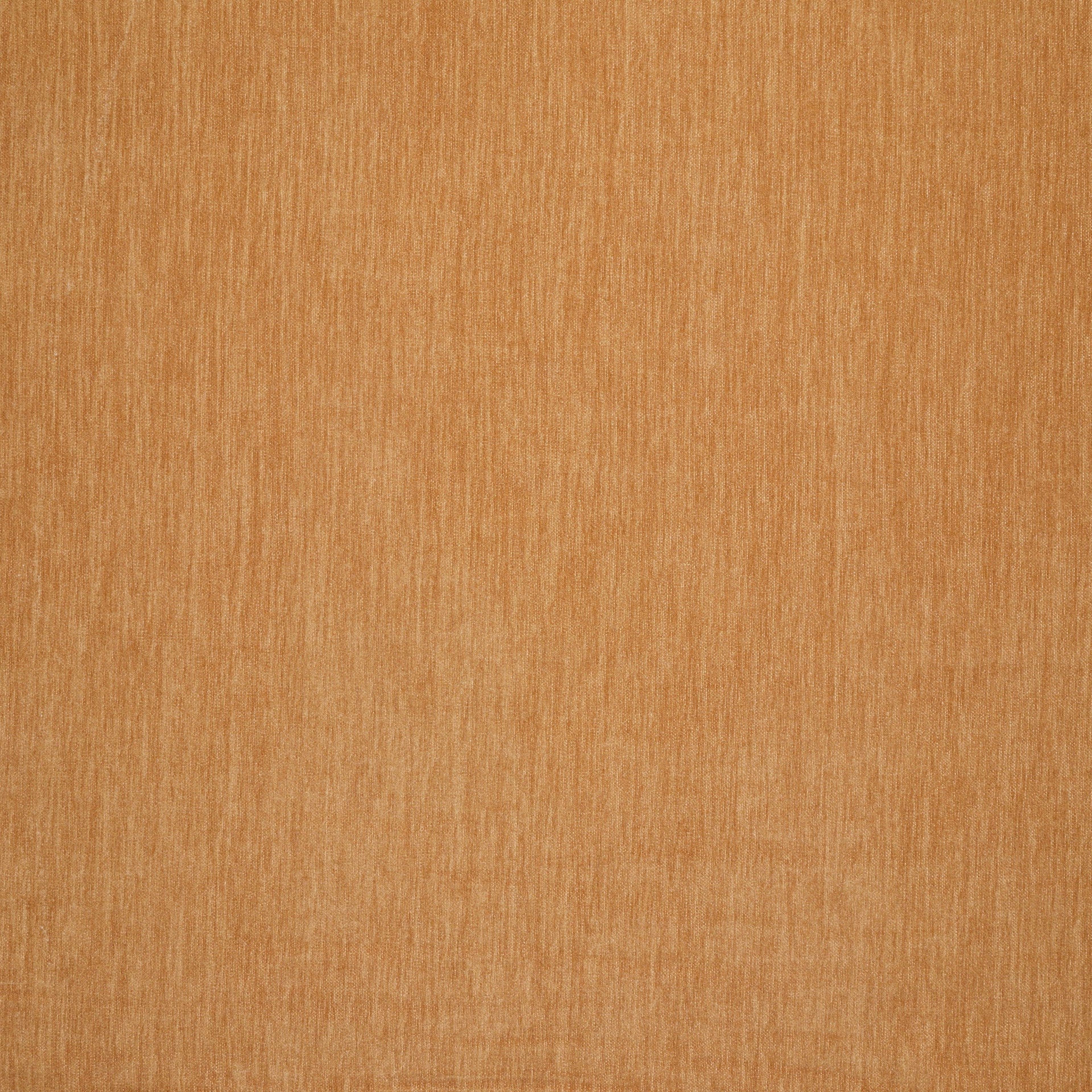 Amici Amber - What A Room