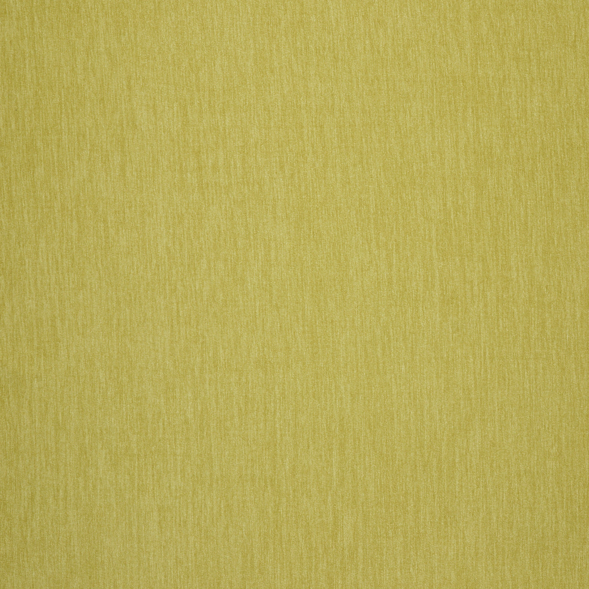 Amici Pear - What A Room
