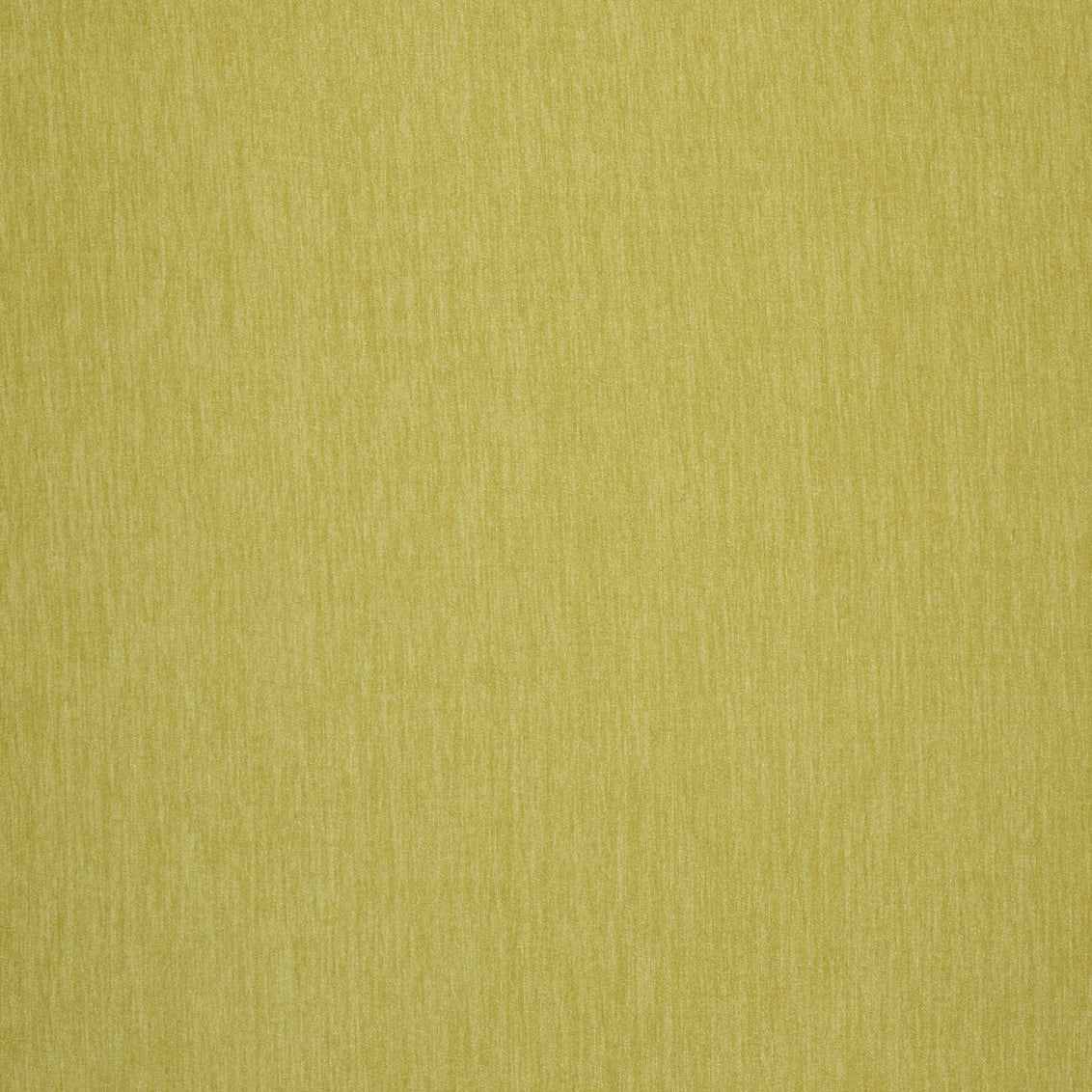Amici Pear - What A Room