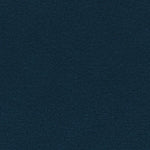 Apollo Indigo