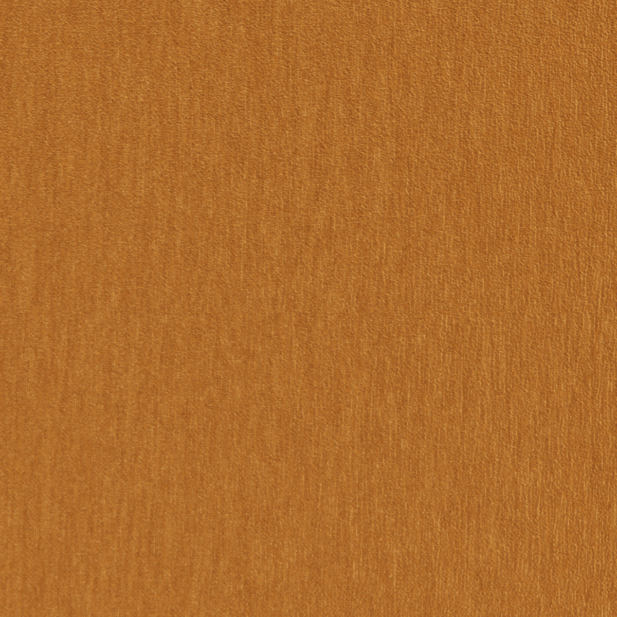 Amici Amber - What A Room