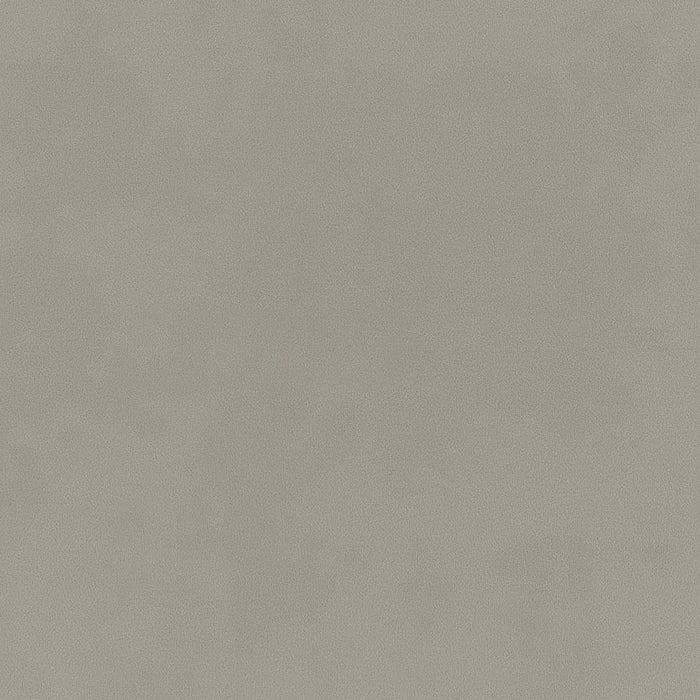 Bella Grey - What A Room