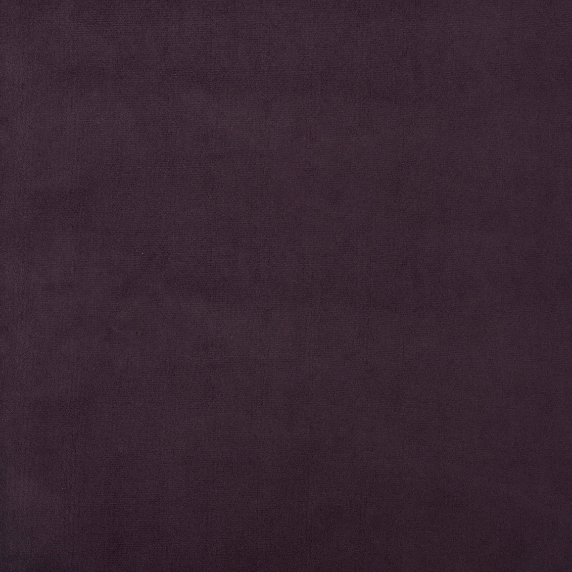 Bella Aubergine - What A Room