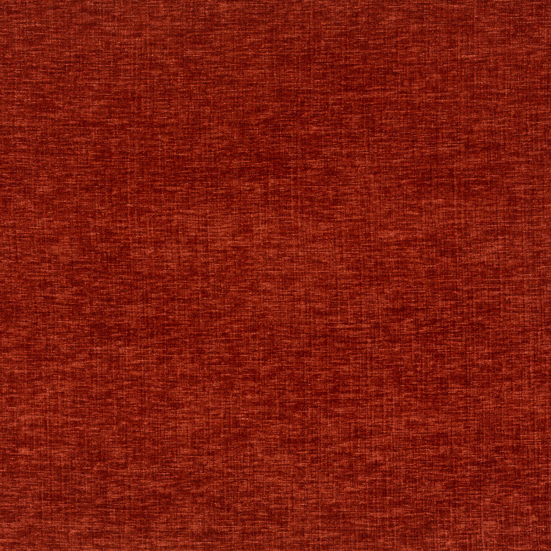 Contessa Paprika - What A Room