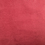 Echo Ruby