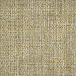 Felicity Sesame