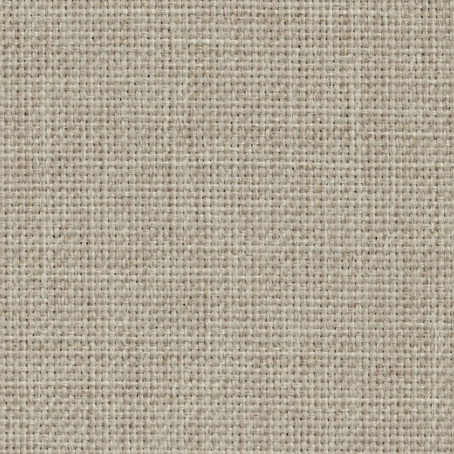 Nile Shitake