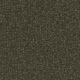 Tigris Kelp - What A Room