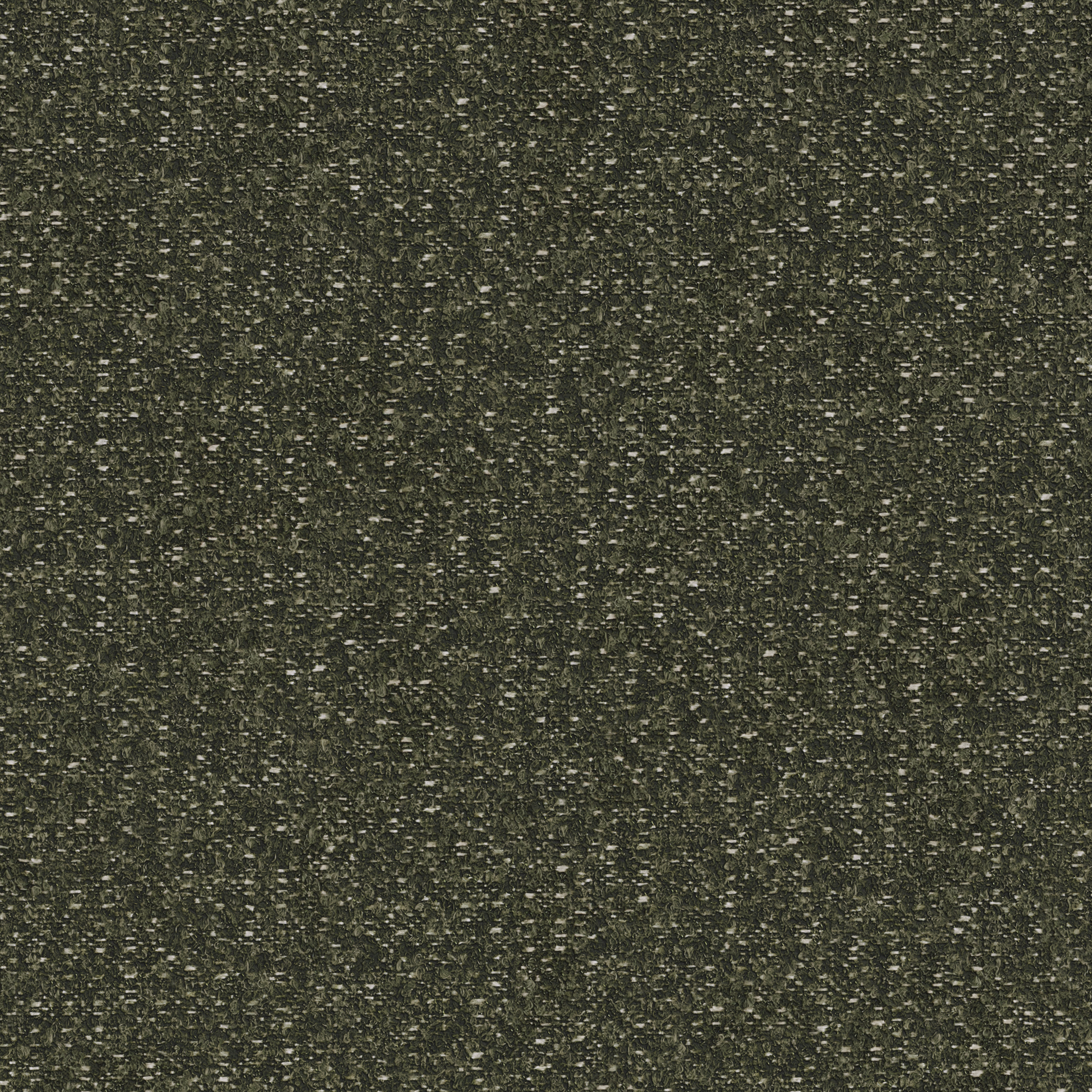 Tigris Kelp - What A Room