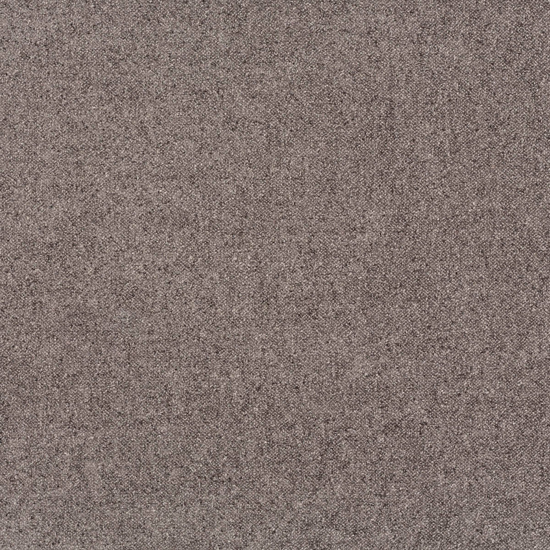 Elite Pewter - What A Room