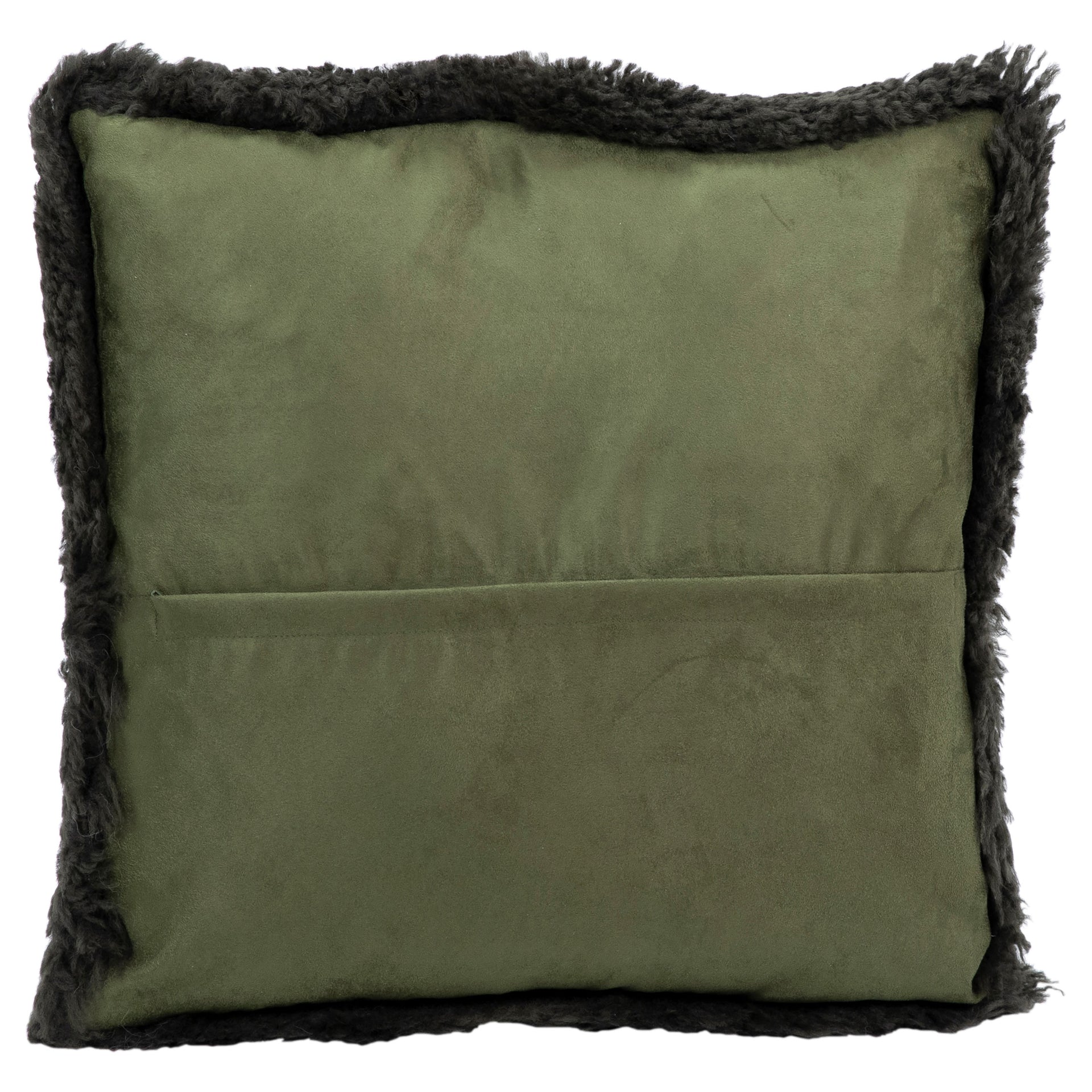 Kiwi Pillow - What A Room