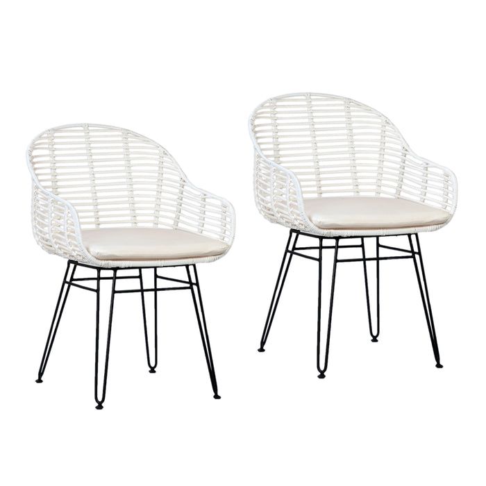 Niles Dining Chair Set of 2 - What A Room