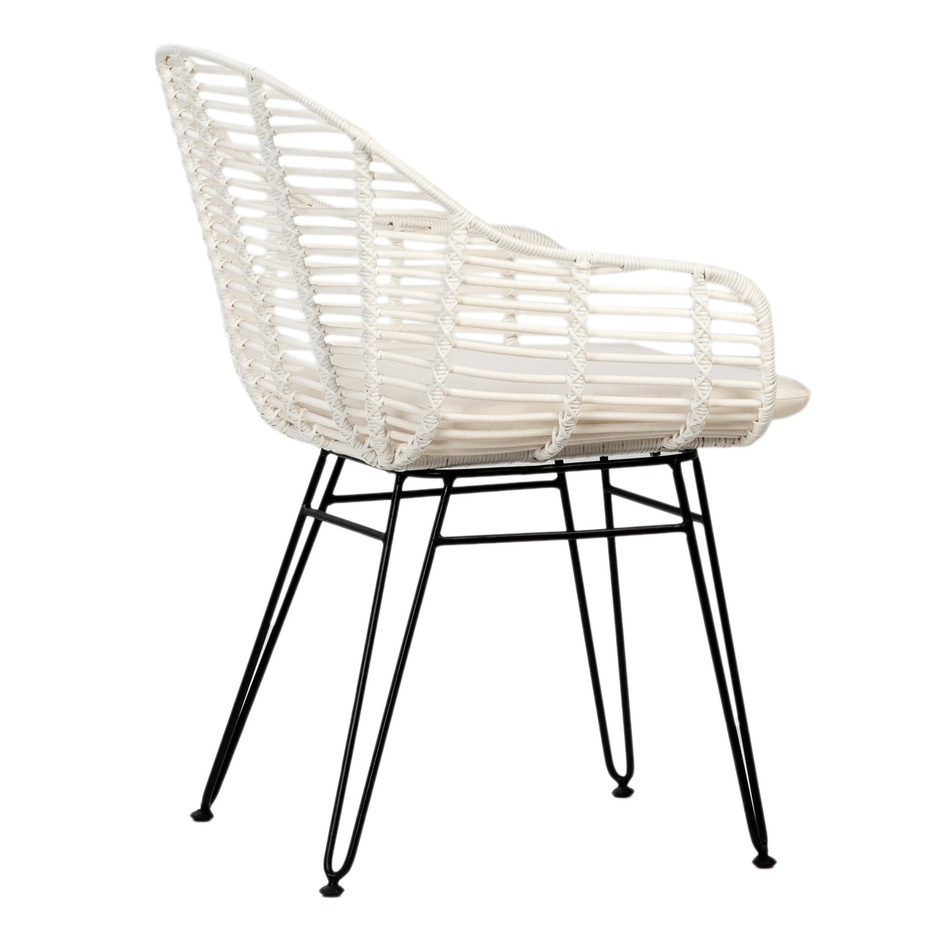 Niles Dining Chair Set of 2 - What A Room