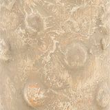 Braulio Vase - What A Room