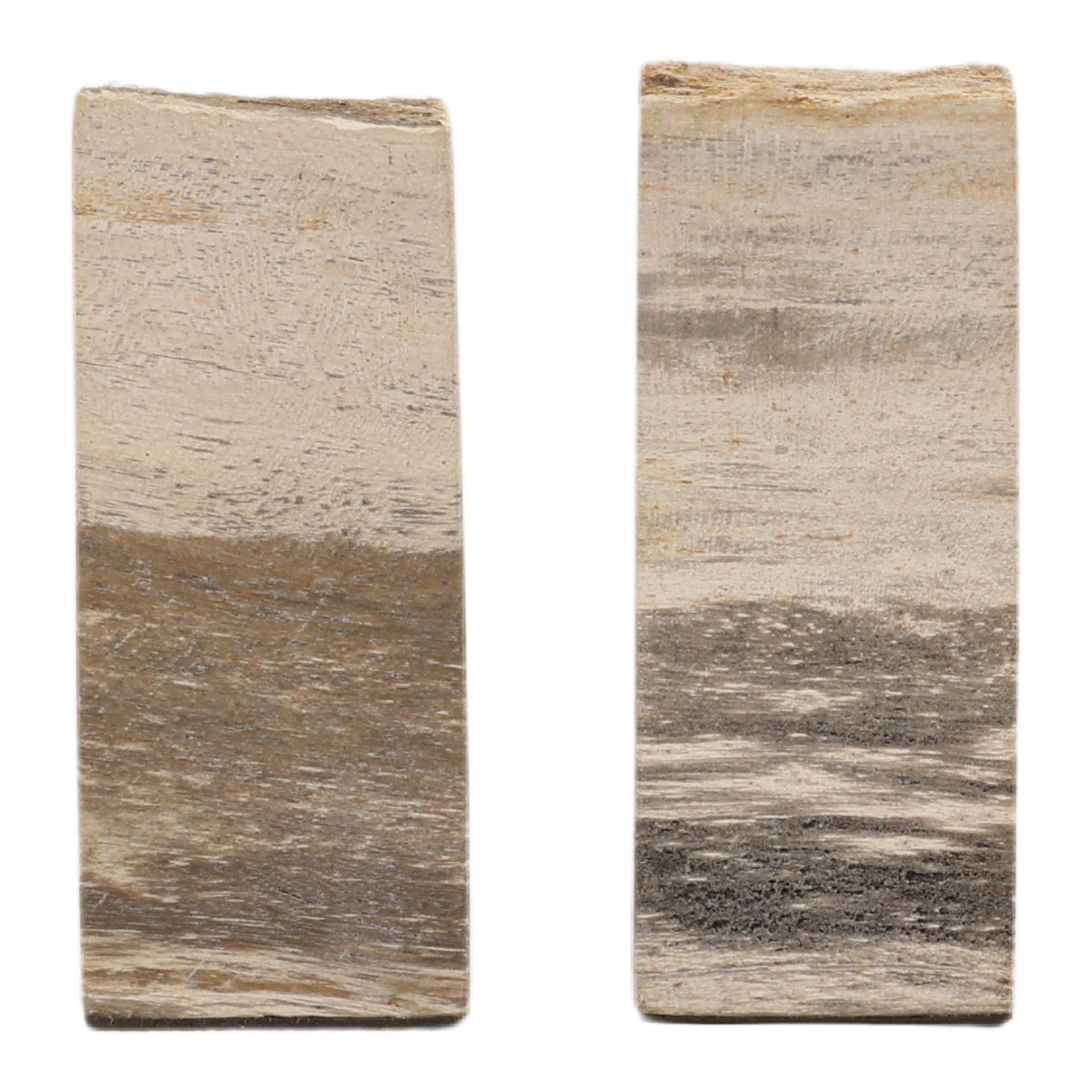 Pedroso Bookend Set of 2 - What A Room