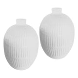 Xena Vase Set of 2 - What A Room