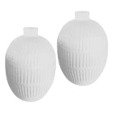 Xena Vase Set of 2 - What A Room