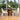Briella Dining Chair - What A Room