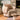 Billie Swivel Chair - What A Room
