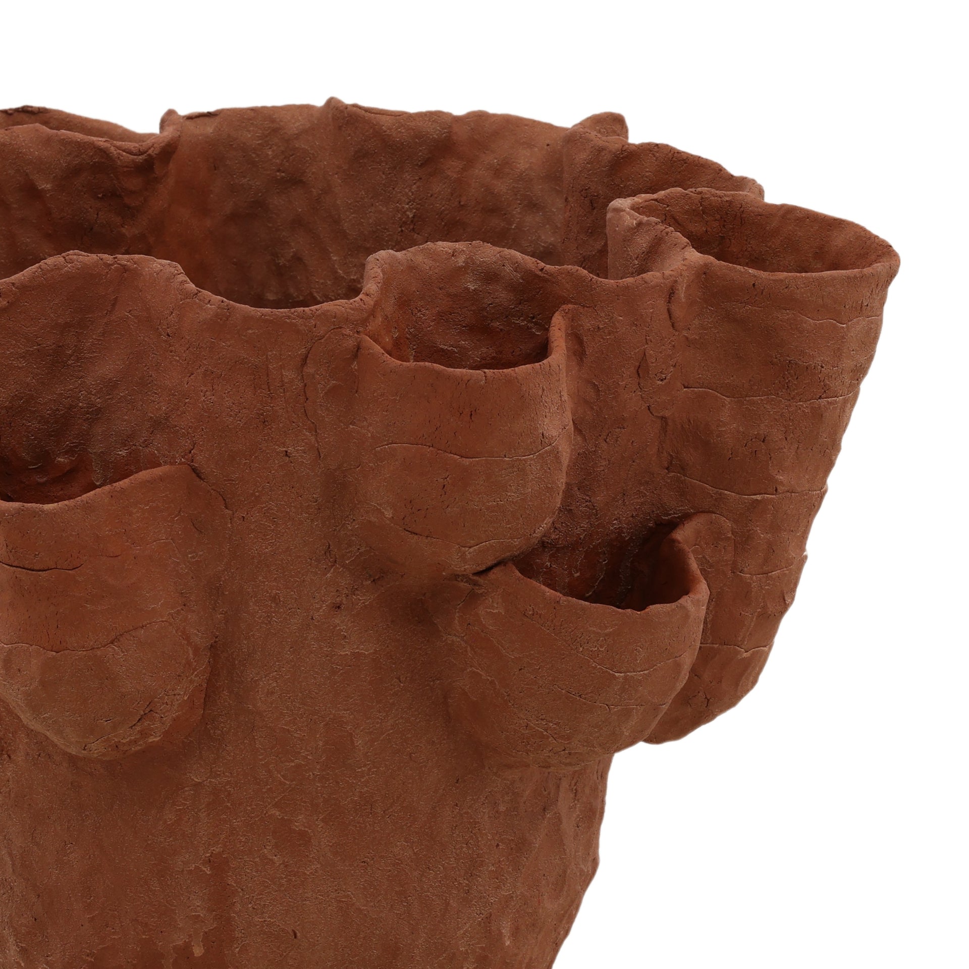 Coralia Vase - What A Room