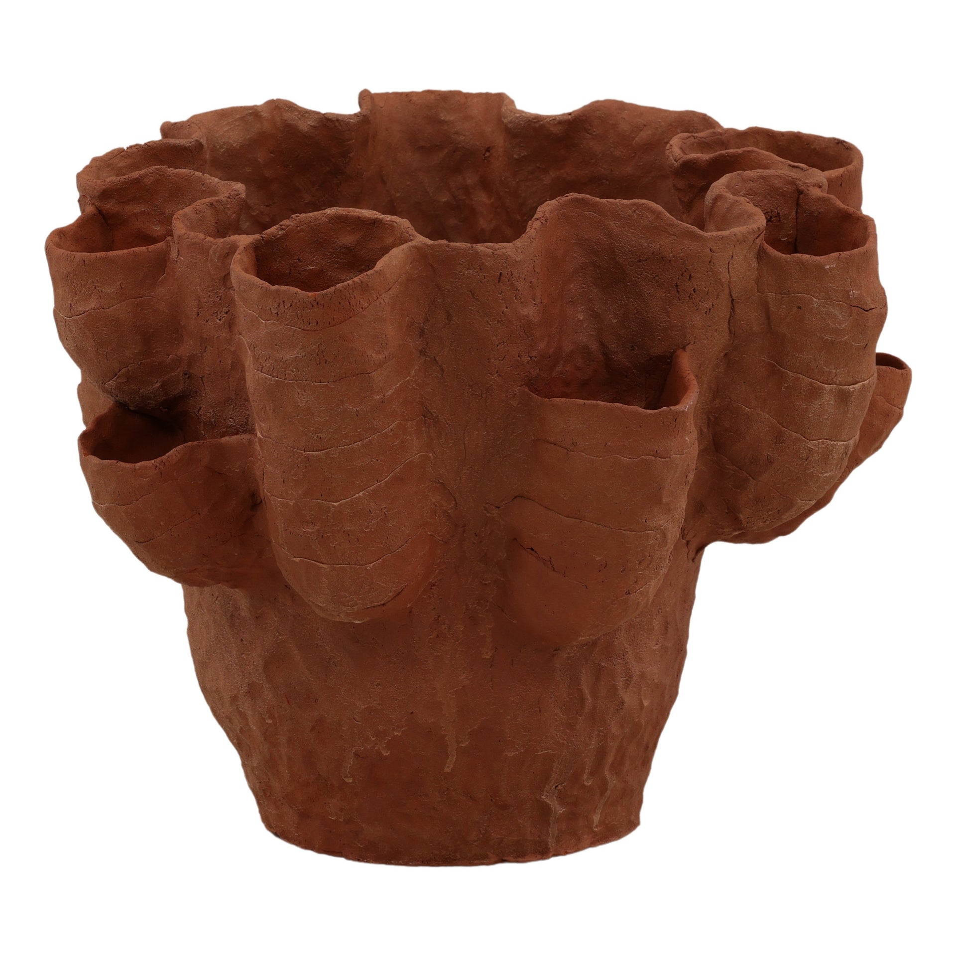 Coralia Vase - What A Room