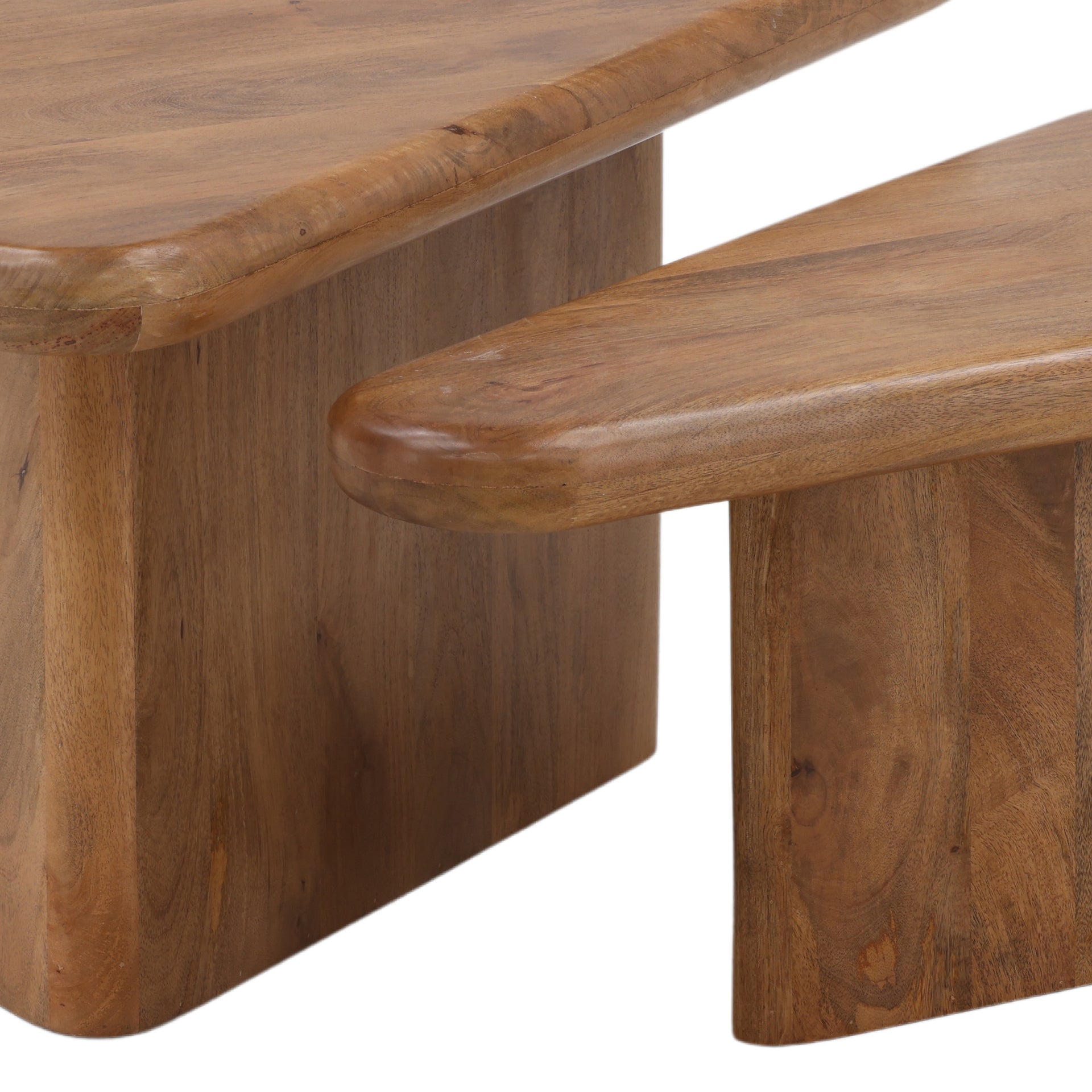 Sansa Coffee Table Set of 2 - What A Room