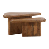 Sansa Coffee Table Set of 2 - What A Room