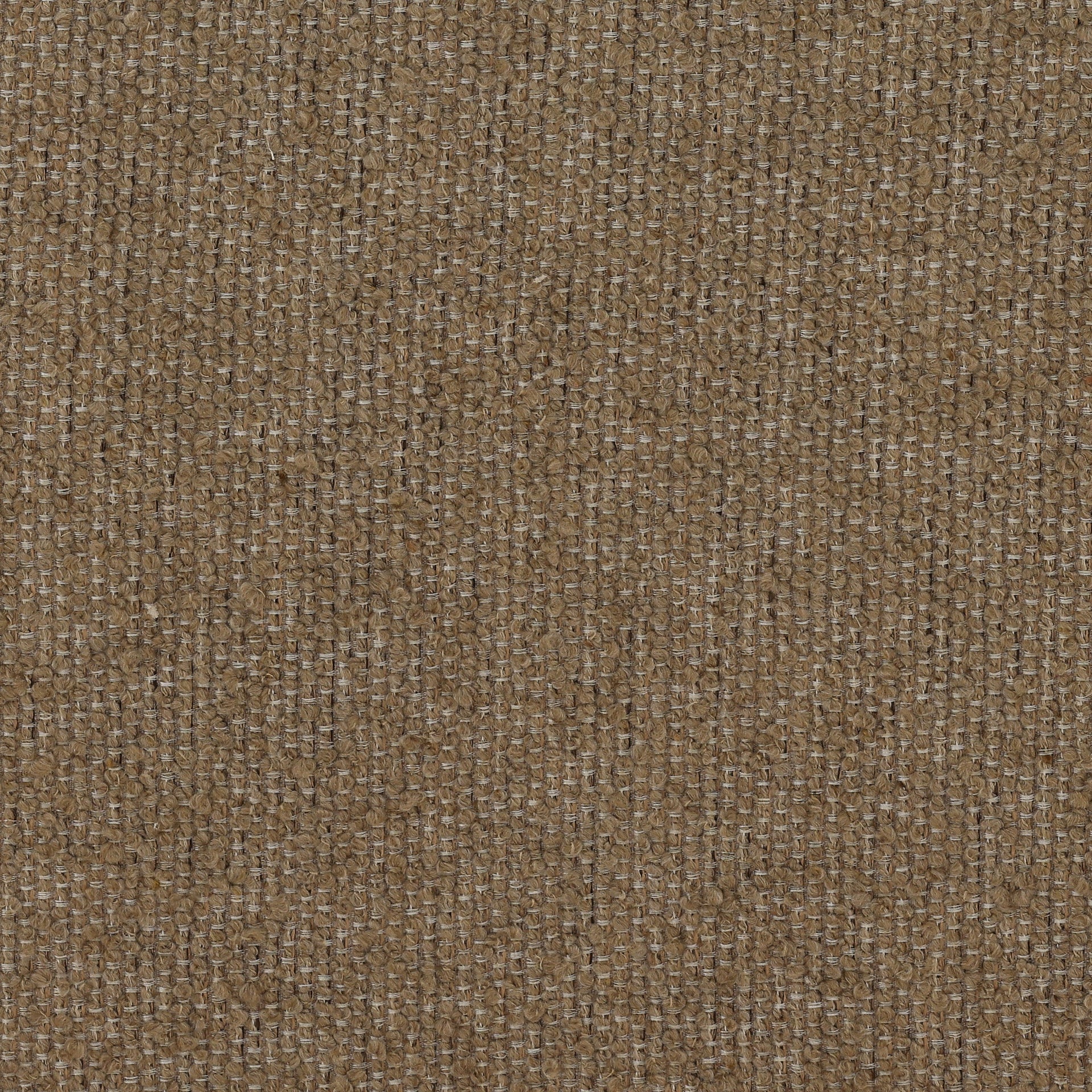 Zulia Occasional Chair - What A Room
