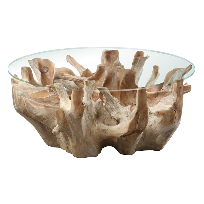 Teak Root Coffee Table with Glass Top