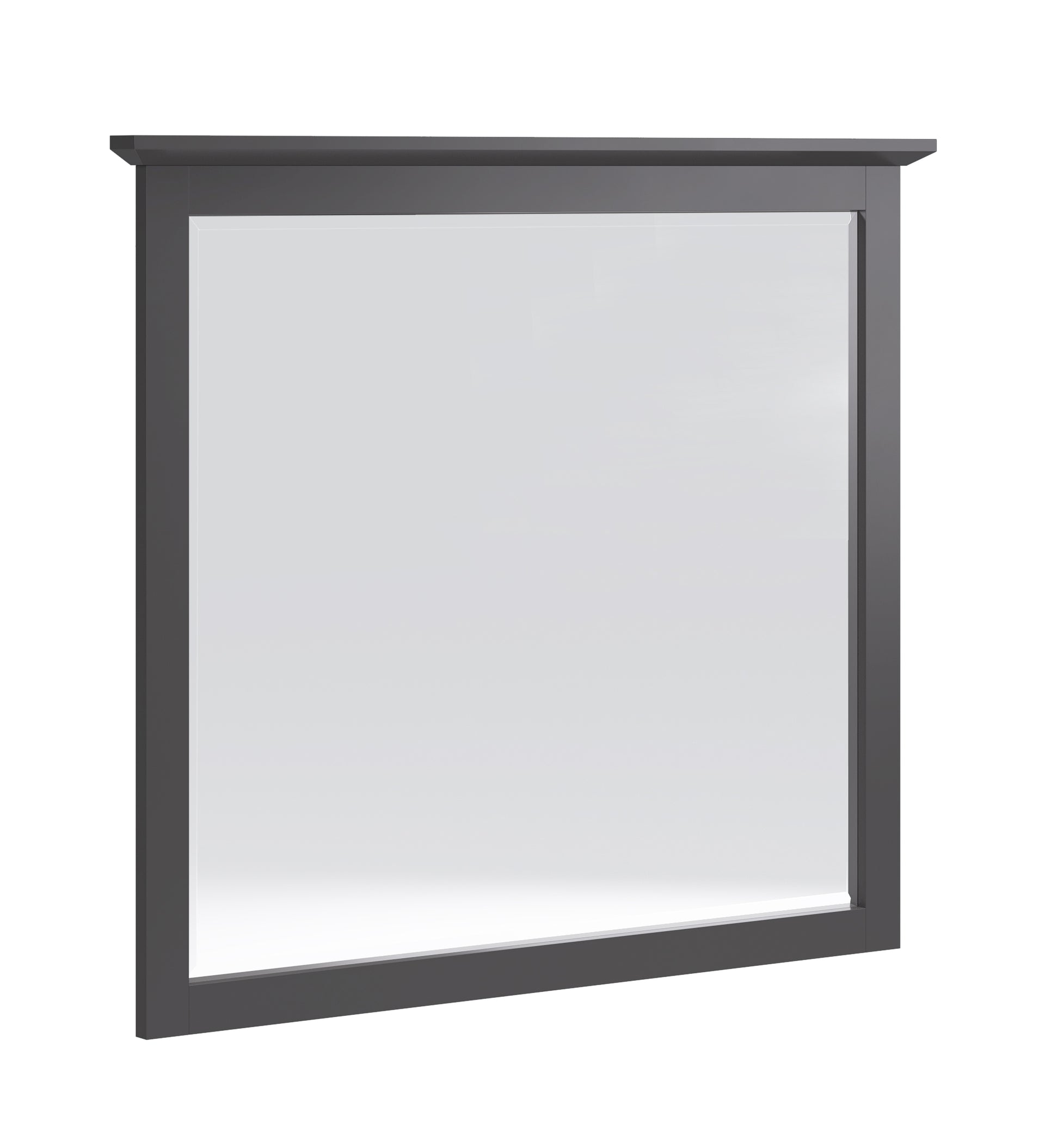 Grace Wall or Dresser Mirror in Raven Black - What A Room