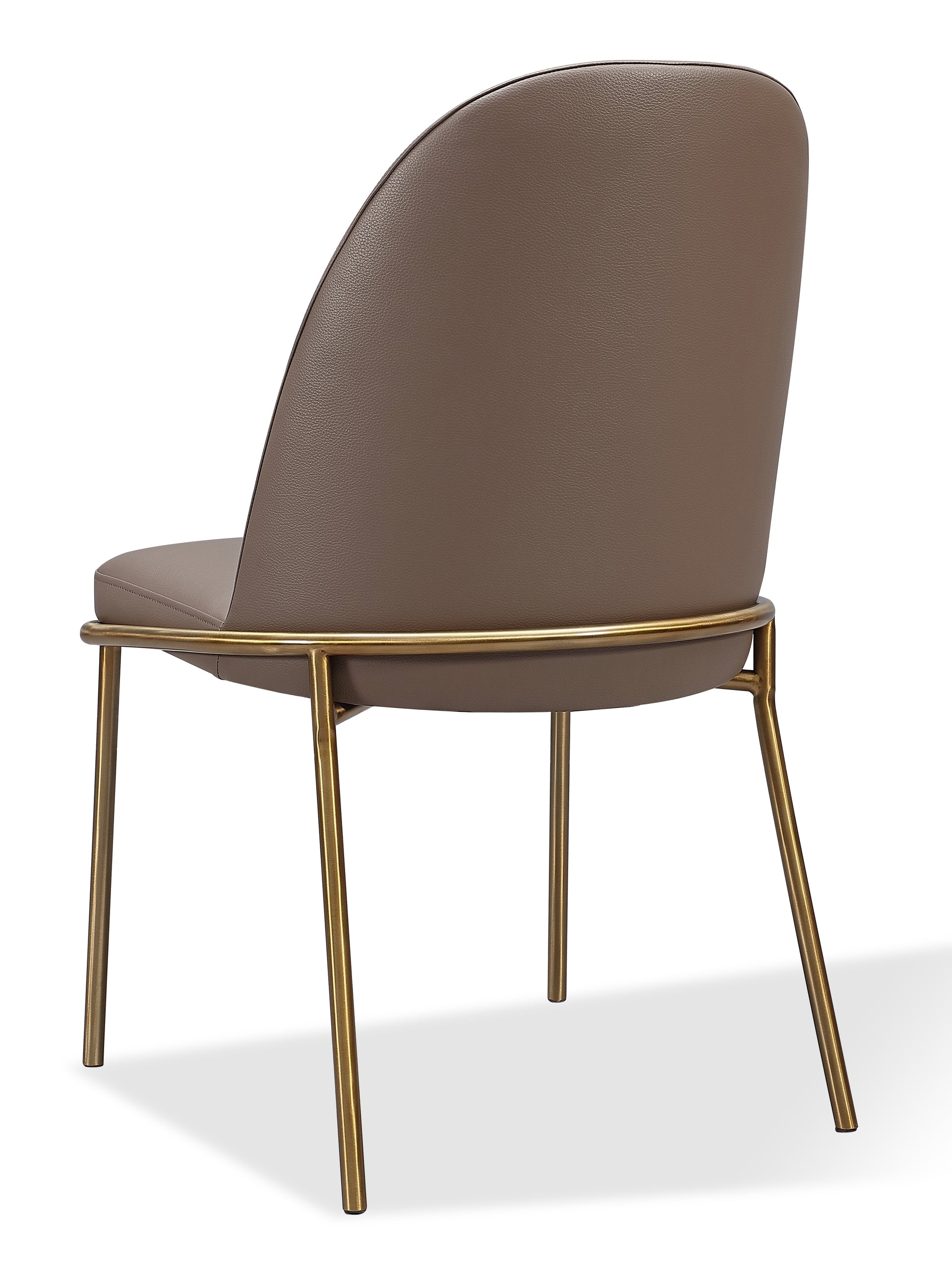 Doheny Leather Upholstered Metal Leg Dining Chair in Boots and Brass (Set of 2) - What A Room