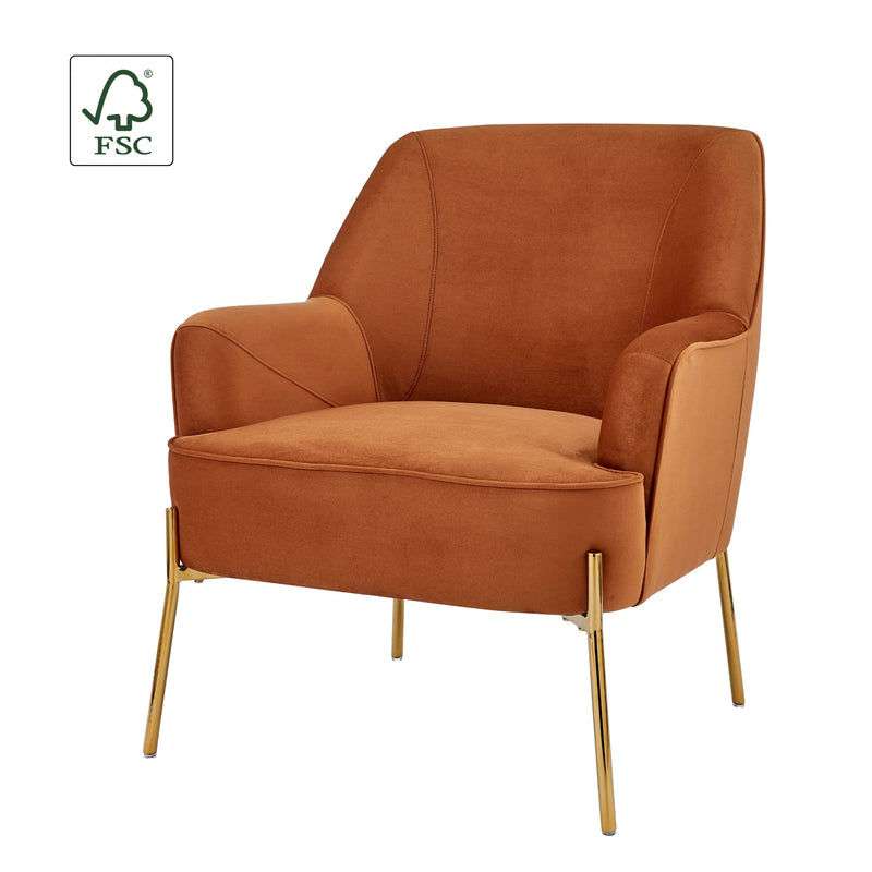 Arianna  Velvet Fabric Accent Arm Chair - What A Room