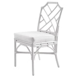 Kara Rattan Dining Side Chair - What A Room