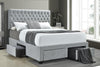 Shelburne 4-drawer Button Tufted Storage Bed Beige - What A Room