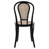 Liva Side Chair - Set of 2 - What A Room