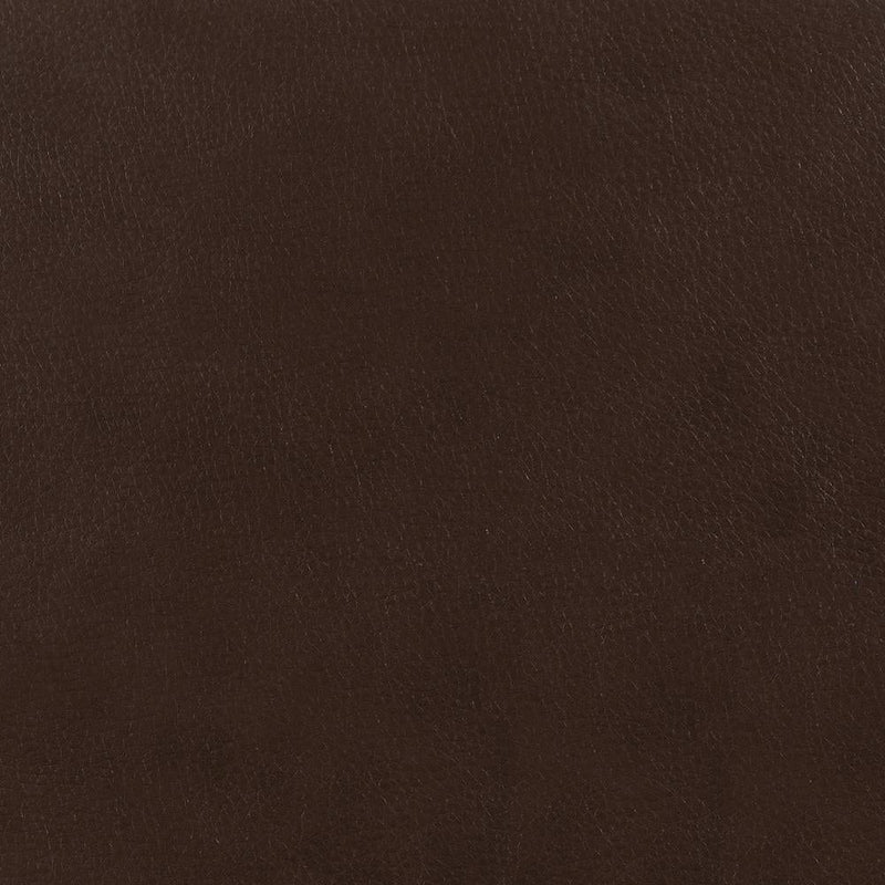 Samuel Upholstered Sleeper Sofa Dark Brown - What A Room