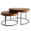Otto Reclaimed Teak Root Coffee Table Set of 2 - What A Room