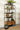 4-drawer Etagere Natural Sheesham and Black - What A Room